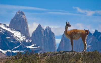 Informazioni sulla climatizzazione Argentina